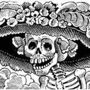 Meet your Posher, Ann